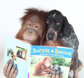 орангутан собака