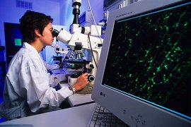 Правильное питание поможет починить ДНК