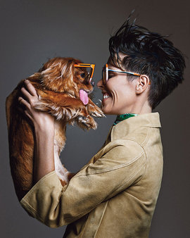 Беззубый пес, модель