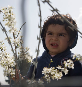 Сирия, дети