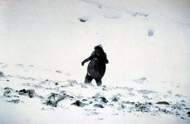 Снежный человек, йети