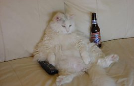 Лень. Мать всех пороков. Как от нее избавиться?