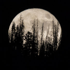 суперлуние