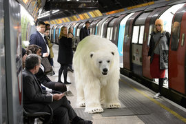 Лондон, белый медведь 