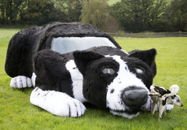 собака-машина