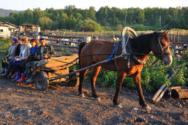 Фермеры России хотят создать собственную торговую сеть