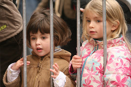 Все, что мы хотели знать о детях, но боялись спросить