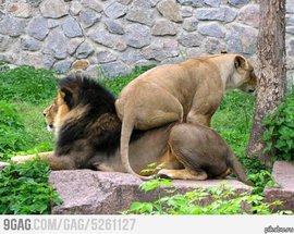 семья, партнер, мужчина, женщина, психология, отношения, подкаблучник, лидер, качества характера,  брак, муж, жена