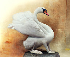 Несуществующие животные