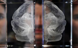 Ученые нашли способ стирать негативные воспоминания