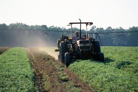 Сергей Федоров, ведущий научный сотрудник Института Европы РАН, рассказал Pravda.Ru, как российские санкции повлияли на экономику Евросоюза