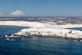 К визиту Абэ: о японской оккупации Камчатки в начале ХХ века