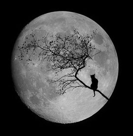 как лечить депрессию, депрессия, лекарства от депрессии, средства для лечения депрессии, лекарства и средства лечения от депрессии, антидепрессанты, лечение депрессии у женщин, депрессии у женщин, курс лечения депрессии, методика лечения депрессии