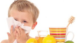 насморк, болезнь, лор, нос, лечение, гомеопатия, лечение, ребенок, травы, горло, шиповник, чай, простуды, сок, народными средствами, народное средство от насморка, лечить ребенка народными средствами  