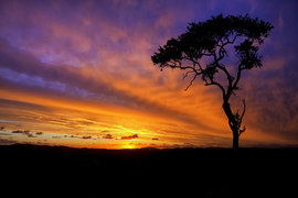 закат, ЮАР