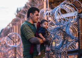 беженцы, Сирия