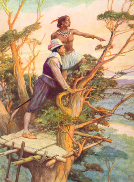 пират Дрейк