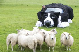 Ученые установили место появления первых домашних собак 