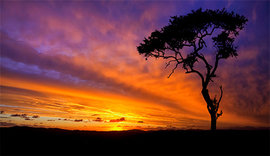 От заката до рассвета