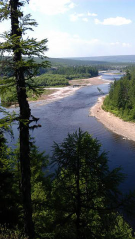 река, деревья, пейзаж