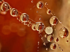 Найдена четвертая агрегатная форма воды