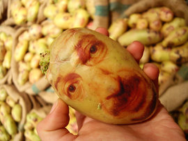 Картофельные портреты