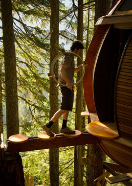 Дом на дереве