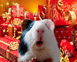 Ивано-Франковск: Дед Мороз и Снегурочка - "коммуняки"