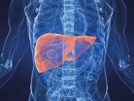 гепатит С, СПИД, смертность, печень, заболевания печени