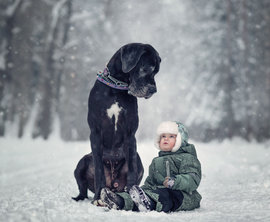 ребенок, собака