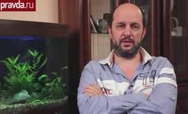 Владелец компании LiveInternet Герман Клименко рассказал Pravda.Ru о причинах скандала вокруг "Википедии"