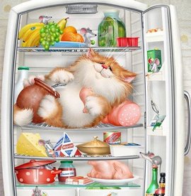 хранение продуктов, холодильник, температурный режим