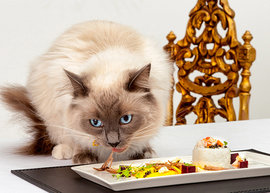 Оригинальные закуски к новогоднему столу