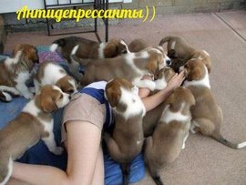 применять антидепрессанты, депрессия, вред от антидепрессантов, препараты от депрессии, применение антидепрессантов для лечения депрессии, симптомы депрессии, правила приема антидепрессантов, прием антидепрессантов