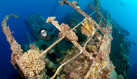 Тайны затонувших кораблей Красного моря. Фото