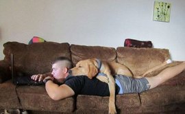 11 фото, доказывающие, что собака - лучший друг человека