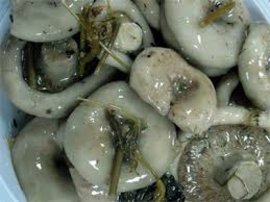 засолки, соления, сало, рыба, грузди, осень, продукты