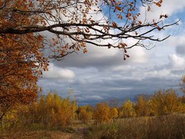 признаки подступающей депрессии, тревожно-депрессивное состояние, осенние депрессии, предупредить депрессию, народные средства
