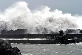 Владивосток перед ударом тайфуна: власти призвали запастись едой, водой и лекарствами