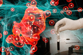 онкология, лекарство