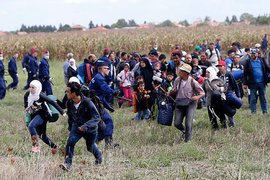 Швейцария проголосовала за жесткое ограничение иммиграционных потоков в страну 