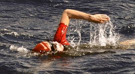 заплыв плавание пловец