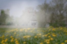 катаракта, глаукома, зрение, глаза, астигматизм, близорукость, искусственный хрусталик