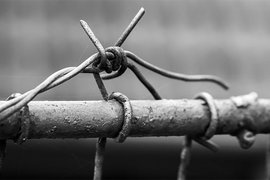 колючая проволока