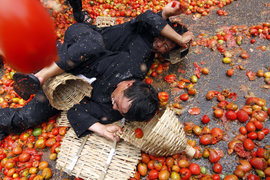 Томатная война, помидоры