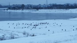 зимняя рыбалка