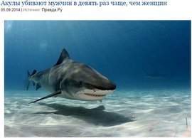 Акулы убивают мужчин в девять раз чаще, чем женщин
