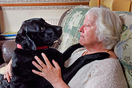 Породы собак, с которыми не соскучишься