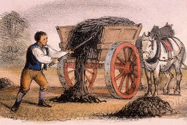 Навоз на вес золота - и в искусстве, и в Белом доме