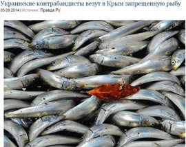 Украинские контрабандисты везут в Крым запрещенную рыбу